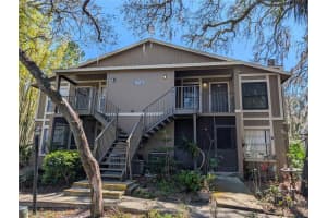 14211 SHADOW MOSS LANE, TAMPA, FL 33613 - MLS#MFRO6394393