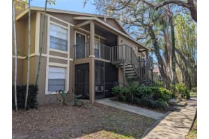 14211 SHADOW MOSS LANE, TAMPA, FL 33613 - MLS#MFRO6394393