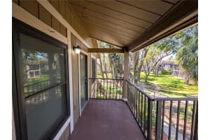 14211 SHADOW MOSS LANE, TAMPA, FL 33613 - MLS#MFRO6394393