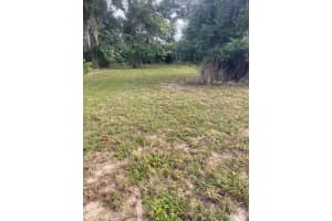 1000 MONTROSE STREET, CLERMONT, FL 34711 - MLS#MFRO6394452