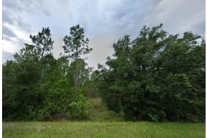 4014 CORONET AVENUE, ORLANDO, FL 32833 - MLS#MFRO6394528