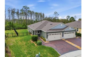 3417 TWIN FLOWER COURT, CLERMONT, FL 34714 - MLS#MFRO6394589