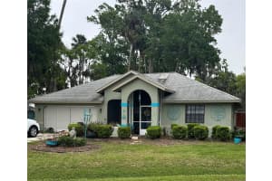 27 BLACK HAWK PLACE, PALM COAST, FL 32137 - MLS#MFRO6394761