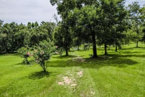 13003 BETTY POINT, FLORAL CITY, FL 34436 - MLS#MFRO6394763