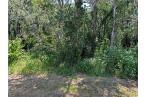 811 CARDINAL WAY, POINCIANA, FL 34759 - MLS#MFRO6394780