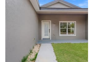 110 GUAVA PLACE DRIVE, OCKLAWAHA, FL 32179 - MLS#MFRO6394786