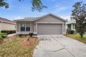 11347 COCOA BEACH DRIVE, RIVERVIEW, FL 33569 - MLS#MFRO6394806