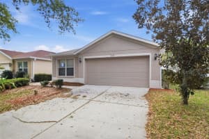 11347 COCOA BEACH DRIVE, RIVERVIEW, FL 33569 - MLS#MFRO6394806