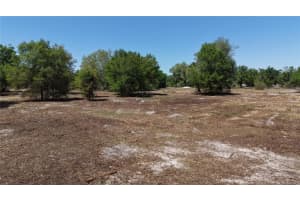 21255 266TH STREET, OKEECHOBEE, FL 34972 - MLS#MFRO6394854