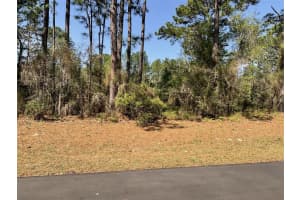 UNDETERMINED, DUNNELLON, FL 34432 - MLS#MFRO6394858