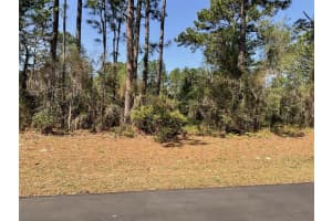UNDETERMINED, DUNNELLON, FL 34432 - MLS#MFRO6394858