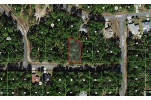 3231 TALINUM PLACE, CITRUS SPRINGS, FL 34433 - MLS#MFRO6394866