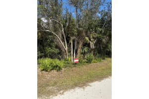 MLS# MFRO6394916, Punta Gorda, Florida 33982