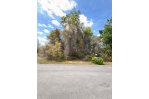 SW 21 CT, OCALA, FL 34473 - MLS#MFRO6394921