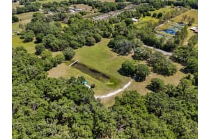 11902 CR 727, WEBSTER, FL 33597 - MLS#MFRO6394956
