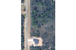 9784 ORANGE BLOSSOM BOULEVARD, SEBRING, FL 33875 - MLS#MFRO6394961
