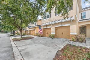 14236 Oasis Cove Blvd, WINDERMERE