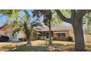 29 OAK LOOP, OCALA, FL 34472 - MLS#MFRO6395064