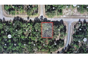 2084 CONWAY DRIVE, DUNNELLON, FL 34434 - MLS#MFRO6395128