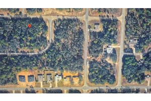 2084 CONWAY DRIVE, DUNNELLON, FL 34434 - MLS#MFRO6395128