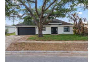 1103 SAGAMORE DRIVE, SEFFNER, FL 33584 - MLS#MFRO6395214