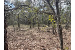 11320 SE 131ST TER, DUNNELLON, FL 34431 - MLS#MFRO6395296