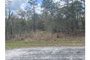 11320 SE 131ST TER, DUNNELLON, FL 34431 - MLS#MFRO6395296