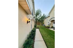 6517 SPRING OAK COURT, TAMPA, FL 33625 - MLS#MFRO6395421