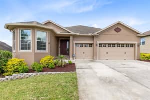 30139 Hackney Loop, MOUNT DORA