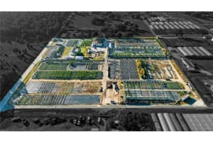 4004 REX DRIVE, WINTER GARDEN, FL 34787 - MLS#MFRO6395737