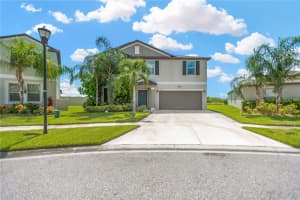 5441 RAINWOOD MEADOWS DRIVE, APOLLO BEACH, FL 33572 - MLS#MFRO6395767