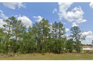 SW 484 HWY #Lot 6, OCALA, FL 34473 - MLS#MFRO6395915