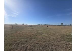 707 CHIHUAHUA ROAD, SEBRING, FL 33870 - MLS#MFRO6395927