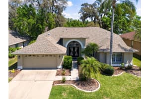 8435 BASUTO DRIVE, TRINITY, FL 34655 - MLS#MFRO6395950