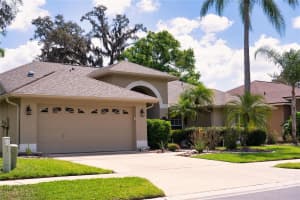 8435 BASUTO DRIVE, TRINITY, FL 34655 - MLS#MFRO6395950