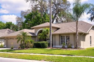 8435 BASUTO DRIVE, TRINITY, FL 34655 - MLS#MFRO6395950