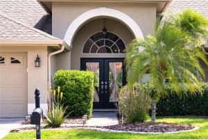 8435 BASUTO DRIVE, TRINITY, FL 34655 - MLS#MFRO6395950