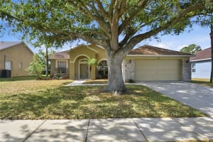 11906 TIMBERHILL DRIVE, RIVERVIEW, FL 33569 - MLS#MFRO6396021