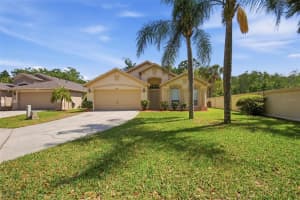3704 LOCKRIDGE DRIVE, LAND O LAKES, FL 34638 - MLS#MFRO6396024