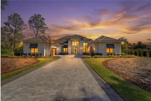 16804 VINCI WAY, BELLA COLLINA, FL 34756 - MLS#MFRO6396027