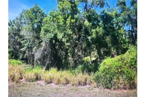105 JAMISON AVENUE, LAKE PLACID, FL 33852 Sold 05/13/26