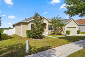 222 BLACKSTONE CREEK ROAD, GROVELAND, FL 34736 - MLS#MFRO6396117