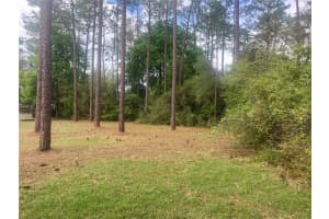 SE 19th Place SE 19TH PLACE, SILVER SPRINGS, FL 34488 - MLS#MFRO6396129