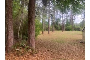 SE 19th Place SE 19TH PLACE, SILVER SPRINGS, FL 34488 - MLS#MFRO6396129