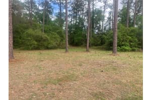 SE 19th Place SE 19TH PLACE, SILVER SPRINGS, FL 34488 - MLS#MFRO6396129