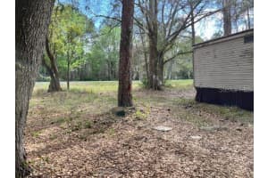 3803 TIMBER PATH, LAKELAND, FL 33805 - MLS#MFRO6396139