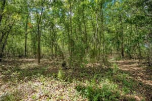 1903 SPRUCE CREEK CIRCLE, PORT ORANGE, FL 32128 - MLS#MFRO6396236