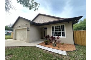 24907 135TH STREET, SALT SPRINGS, FL 32134 - MLS#MFRO6396285