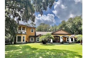 3900 REAVES ROAD, KISSIMMEE, FL 34746 - MLS#MFRO6396321