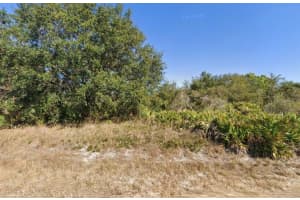 1316 POINSETTIA AVENUE, LEHIGH ACRES, FL 33972 - MLS#MFRO6396452